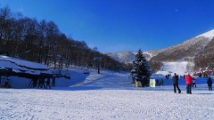 【亚洲】北海道 函馆 洞爷湖 小樽 白色恋人双温泉 滑雪双飞5日