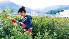 【国内预售】祁门绎山居精品民宿乐养自驾游会员套餐