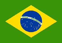 巴西旅游签证